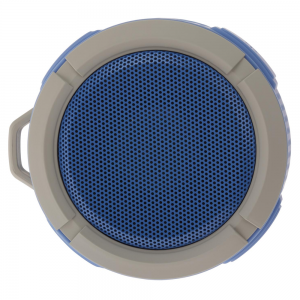 Goodmans Speaker
